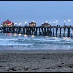 Meet your Posher, Shelly